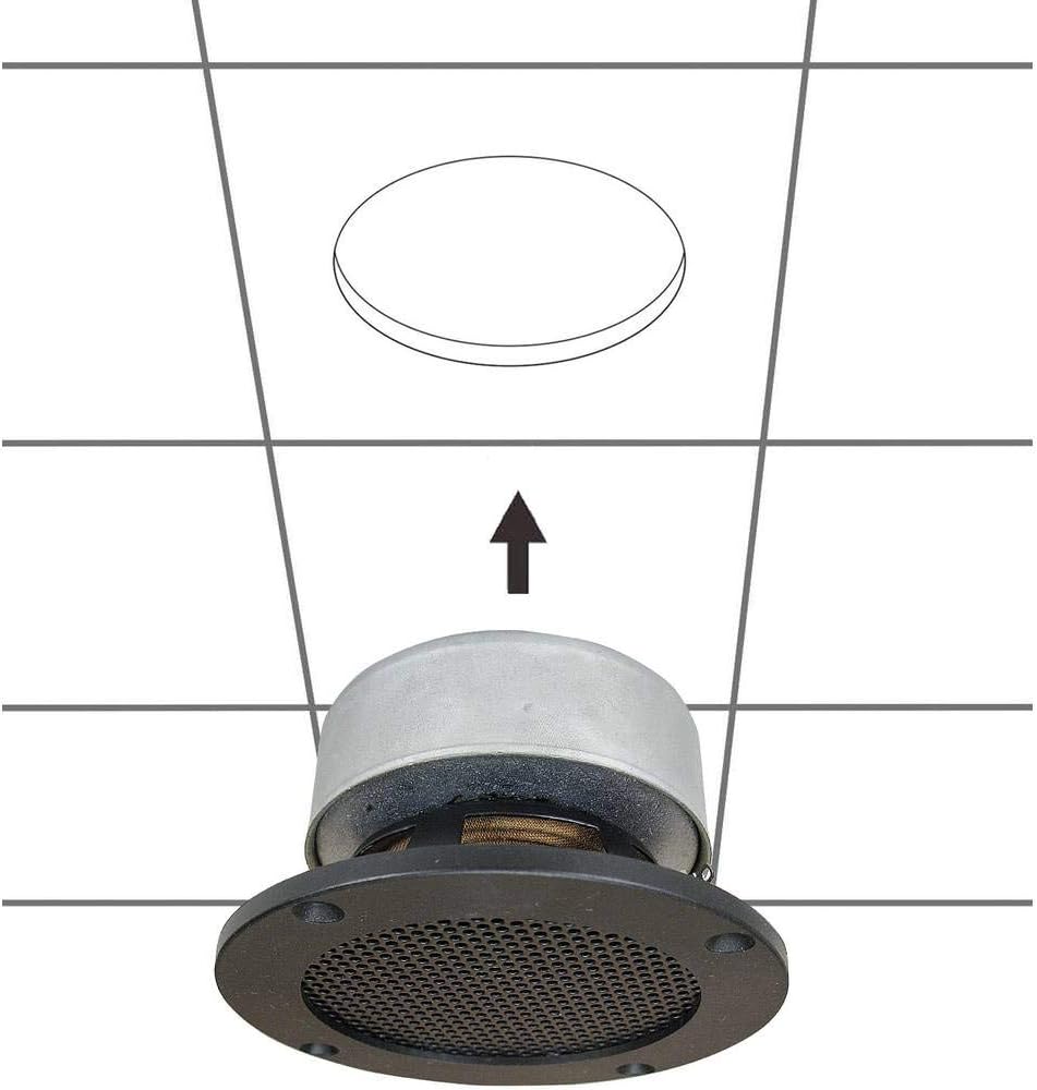 SpeaKa Professional DL-1117 speaker back view этикеткасы менен