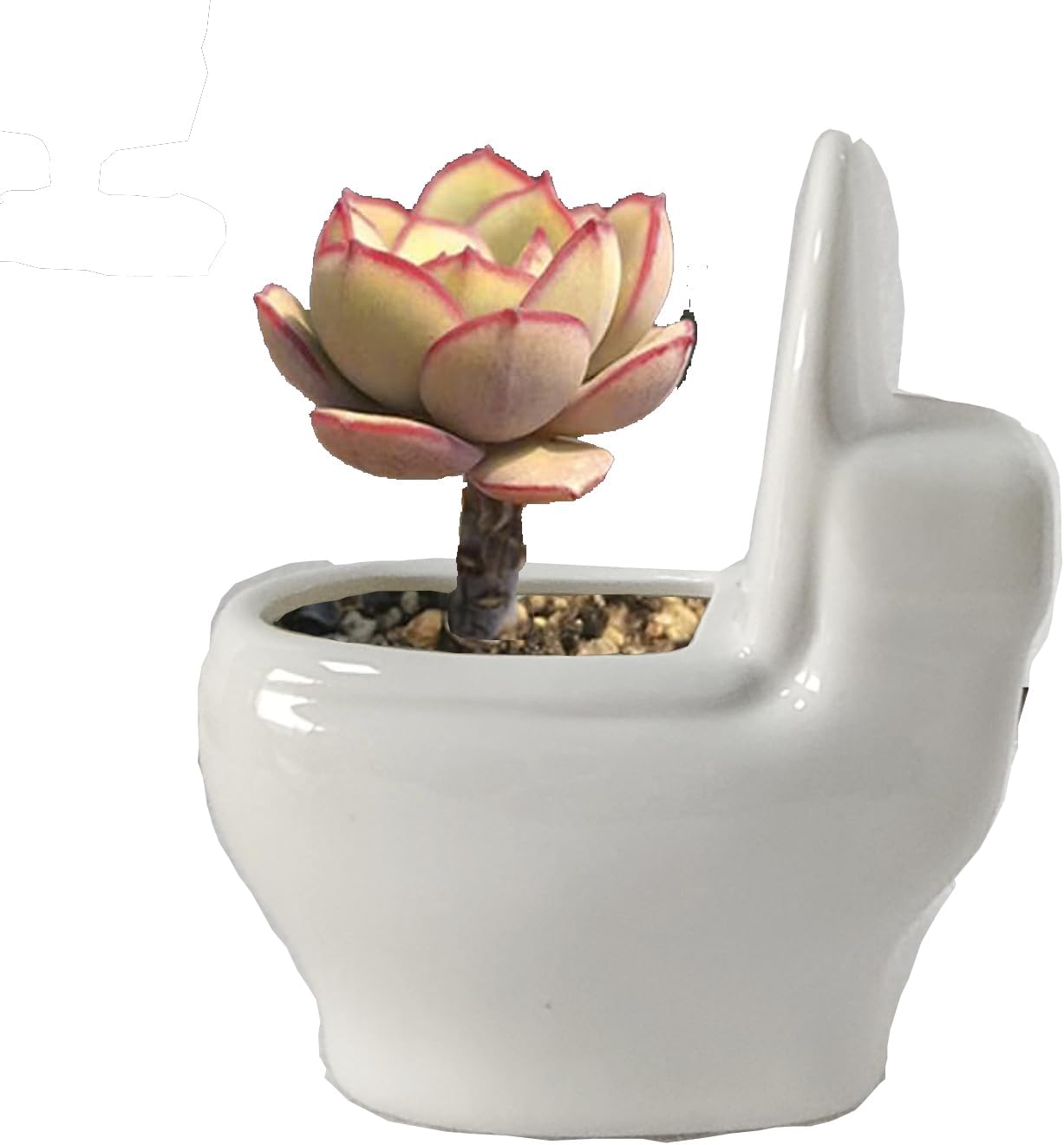 Cute Animal Ceramics Planter Small Succulent Pot Small Succulent Pots with Drainage, Ceramic Animal Planter, Indoor Plant (4 pcs)