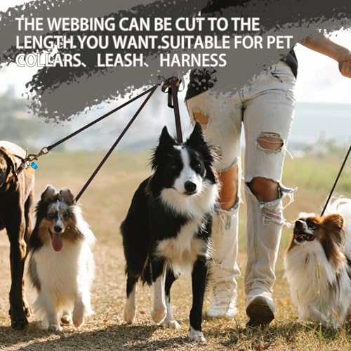 Image of Polyester Webbing Strap 16+Colors - 1 inch&1.5 inch&1.9 inch - 16.5 25 33 55 Yards Heavy Duty Webbing Roll, Flat Webbing Strap for Indoor&Outdoor Gear, Climbing, DIY Crafting, Repairing