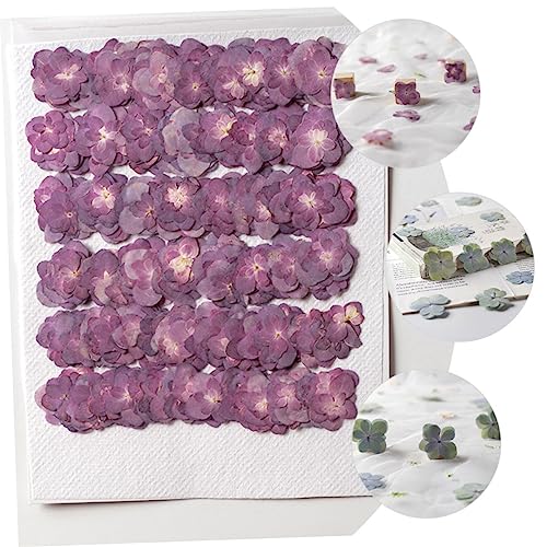 Flores secas doble hortensia 30 piezas para manualidades miniatura 6