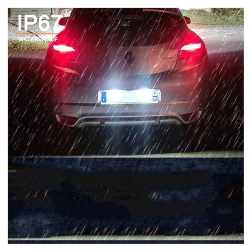 Luz matrícula LED para solventar fallos de iluminación en Megane Clio y Kadjar 7