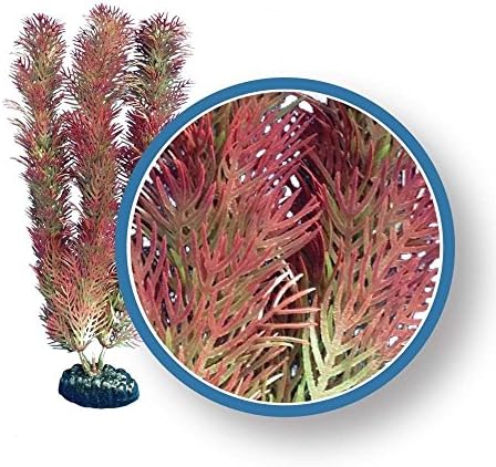 Freshwater Pro Series Cabomba Ornament, 24", Red