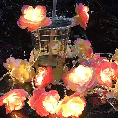 Floristlighting 20 LED Fairy Red White Flowers Pearls Battery Operated String Lights LED Decoration for Christmas Wedding (Pink)