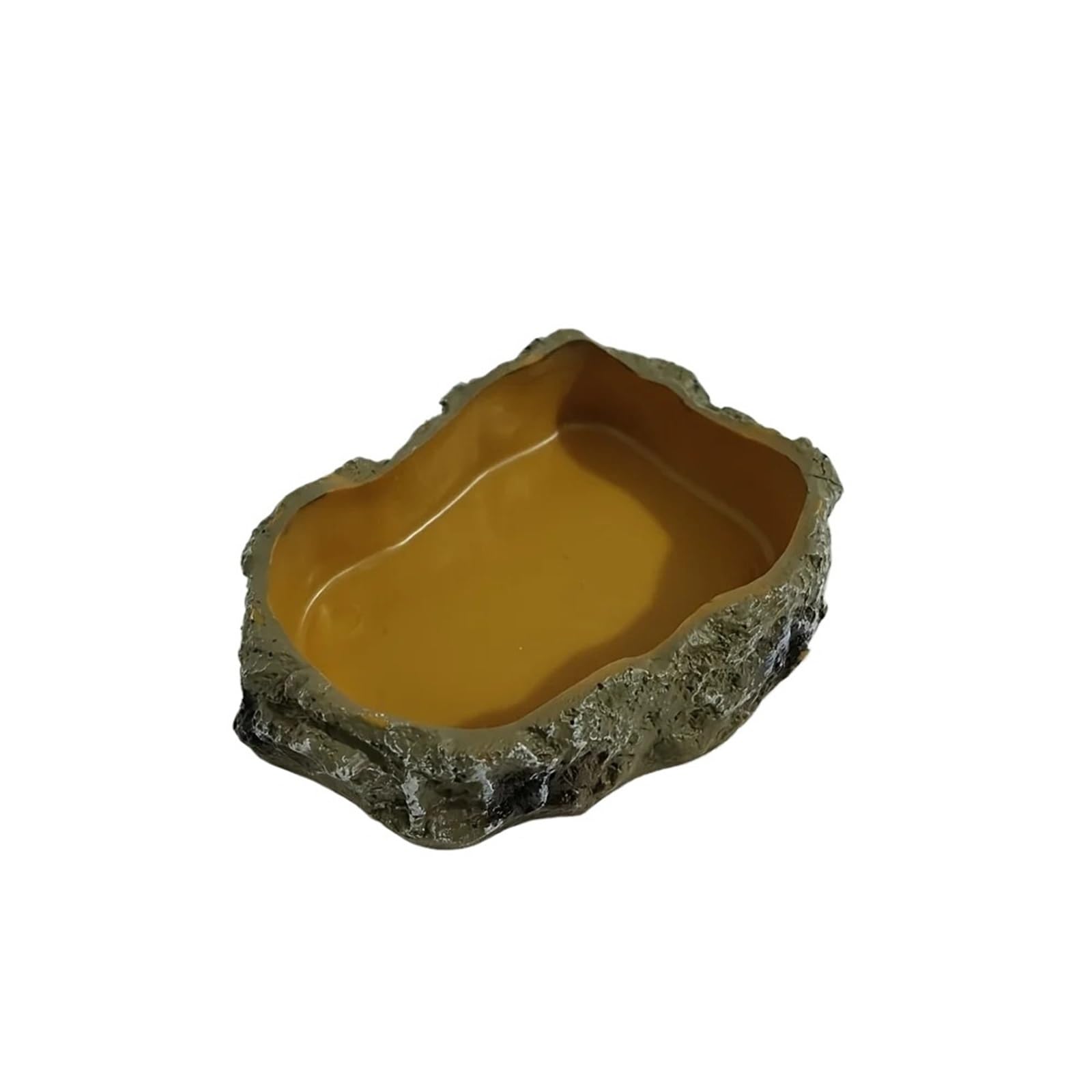 Cuencos para rana y tortuga en platos de alimentación de reptiles