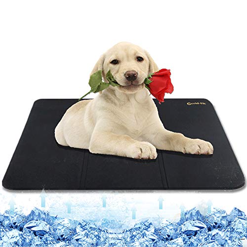 WORLD-BIO Almohadilla refrigerante para Perros, Gel congelante Flexible con Tapa Lavable para Mantener a su Mascota Fresca Durante Todo el Verano, Paquete de Suministro Adicional - 38.9'' x 22.4''