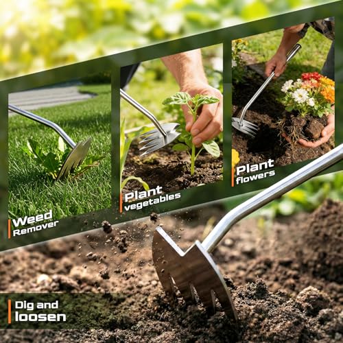 image for LOOHOI Upgraded Weed Puller Tool, 4-Tooth Stainless Steel Manual Weede