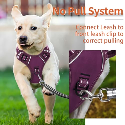Image of HEELE Dog Harness for Medium Dogs No Pull Dog Vest Harness with Soft Padded Handle Reflective for Outdoor Training, Purple(Matching Trim), M