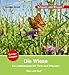 Produktbild Die Wiese / Sonderausgabe: Schauen und Wissen! (Schauen und Wissen! Heftausgaben)