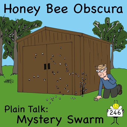 Plain Talk: Mystery Swarm (246) Podcast Por arte de portada