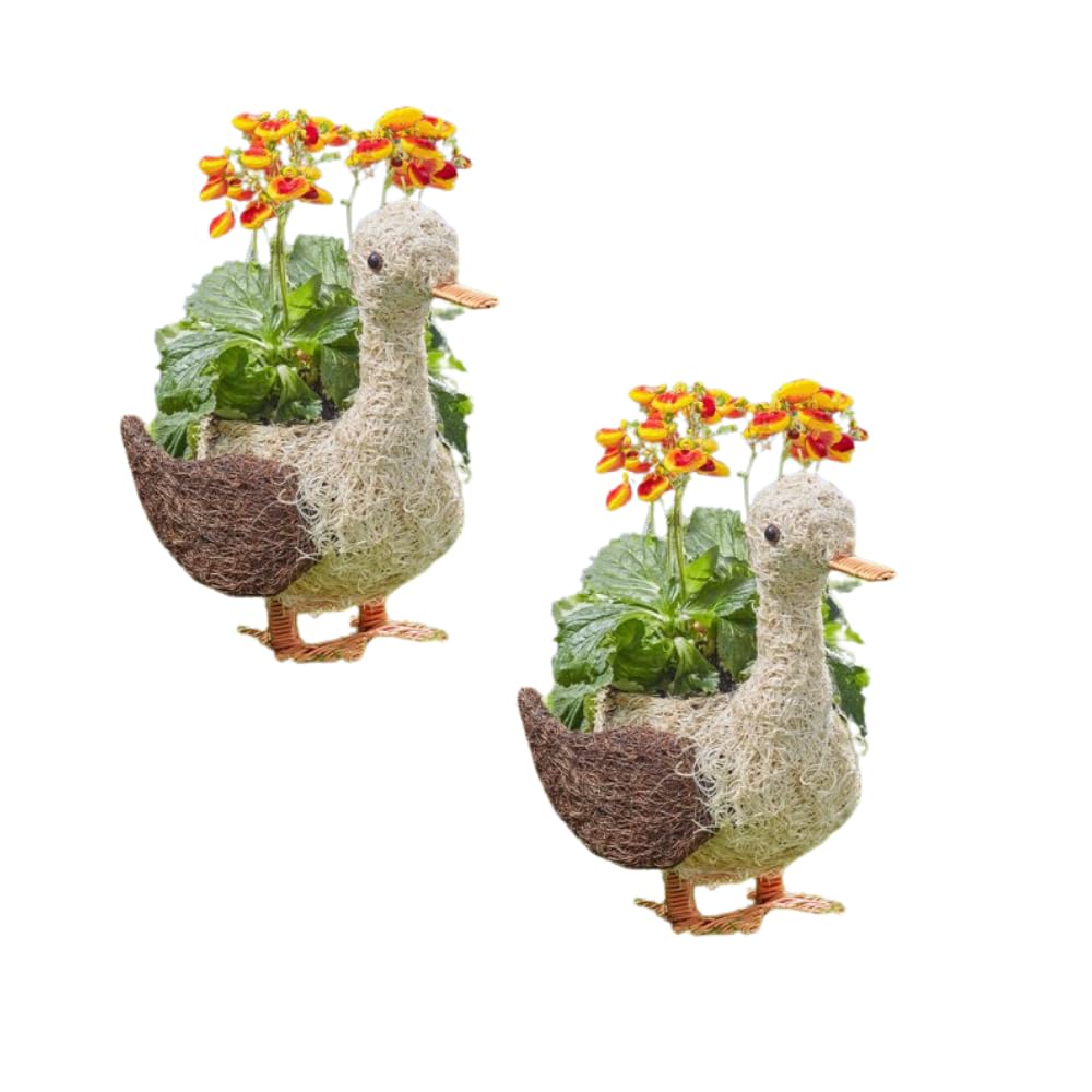 Garden Mile Set of 2 Animal Themed Flower Planters Novelty Rattan Straw Plant Pots Garden Duck Decor Garden Lawn and Patio Planters