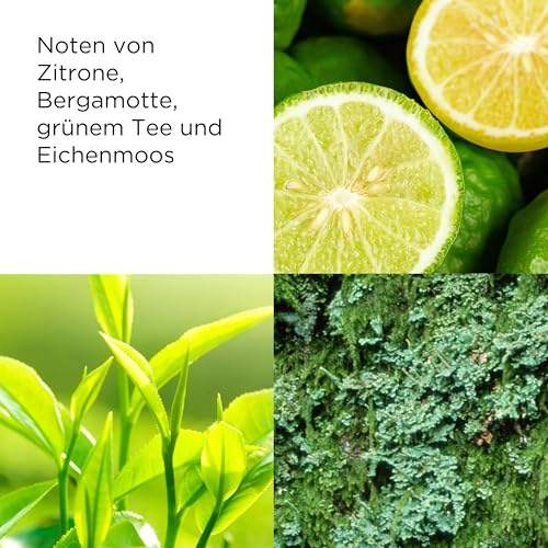 Elizabeth Arden Green Tea Eau Parfum Spray 100 ml