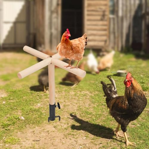 Jouet de divertissement pour perroquets et perchoir de poulet stable
