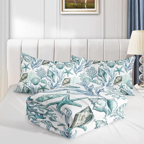 Image of AILONEN Teal Seashell Queen Comforter Set, Coastal Coral Starfish Home Ensemble, 3 Piece Microfiber Down Alternative Fill for Couples Family Guests
