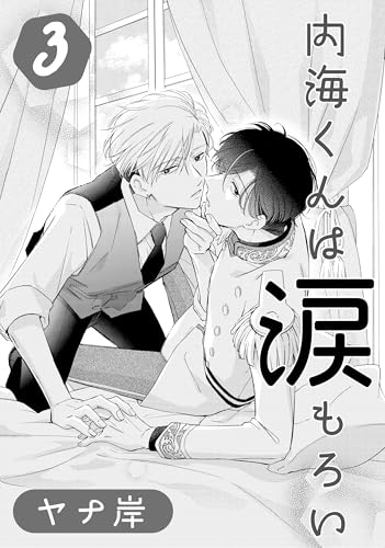 内海くんは涙もろい 3 (drap)