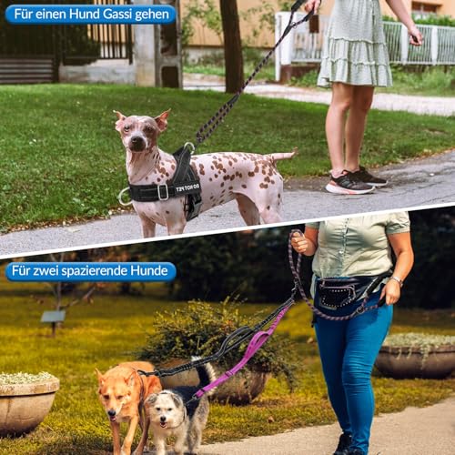 SlowTon Doppelte Leine für zwei kleine Hunde, 360° drehbare doppelte Hundeleine mit 4 Griffen, superleicht für Welpen unter 20 Pfund, reflektierender verstellbarer Riemen und stoßabsorbierendes Bungee