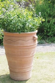 鉢・プランター mari Amazon.co.jp: マリア H 70 cm/クレタ/テラコッタ/植木 鉢