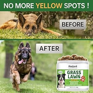 Grass Burn Spot Chews for Dogs – Dog Pee Lawn Spot Saver Caused by Dog Urine – Grass Treatment Rocks – DL-Methionine + Cranberry + Digestive Enzymes – Dog Urine Neutralizer for Lawn – 180 Soft Treats