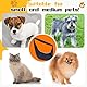 Halinuia Reversibel Kleine Hundetragetasche bis 7KG Angenehm Tragetasche Hund Sicherer mit Karabiner Tragegurt Hunde Umhängetasche für Haustiere für Spaziergänge Aktivitäten im Freien, Blau