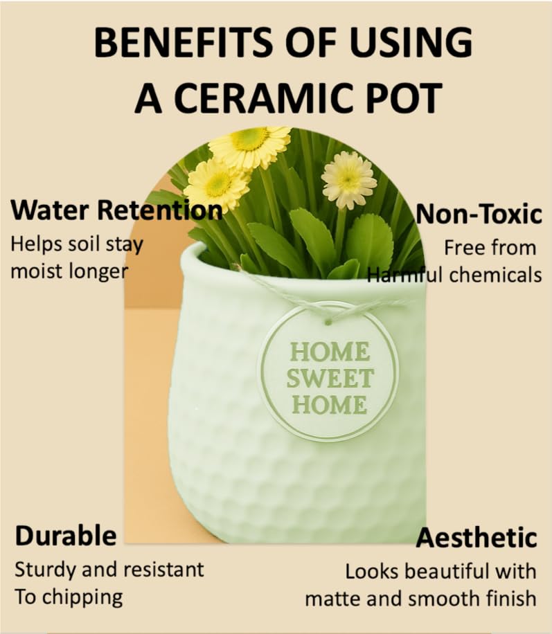 Image of Yo Green Ceramic Plant Pot for Indoor & Outdoor, Modern Planter for Home & Office Decor, Durable, Stylish Finish, Ideal for Tabletop, Shelf, Balcony, Great Gift Idea (Mint, 4 Inches)