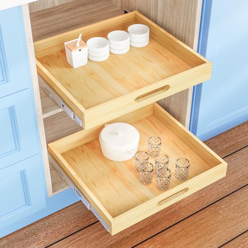 Pull Out Cabinet Organizer, 1PC 24” W x 21” D Soft Close Slide Out Wood Drawer Storage Shelves for Kitchen, Base Cabinet Organization for Pantry, Finished, Heavy-Duty, Bottom Assembly