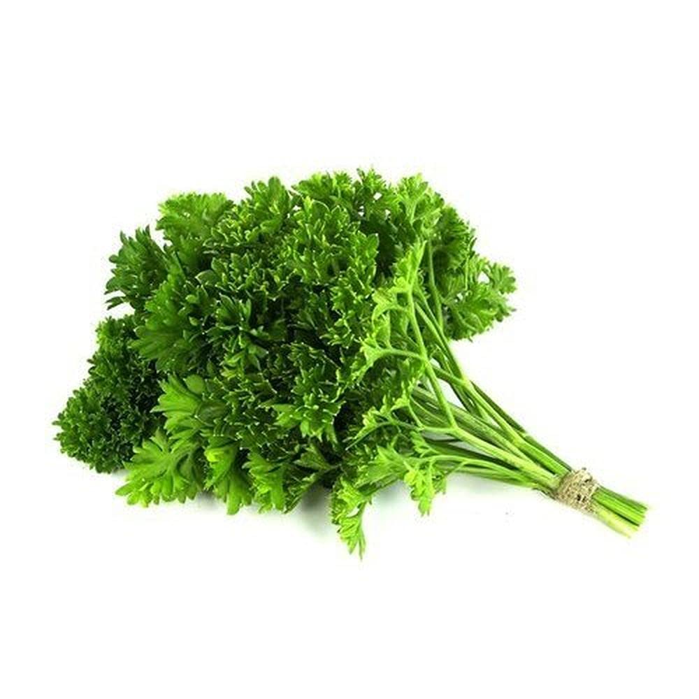 See full amazon price history chart for LIVE GREEN Herb Seeds Parsley Organic For Gardening/Improved (1 pkt 5gm) LIVE GREEN Herb Seeds Parsley Organic For Gardening/Improved (1 pkt 5gm) (B0995H7BL7) Amazon Price History, Amazon Price Tracker