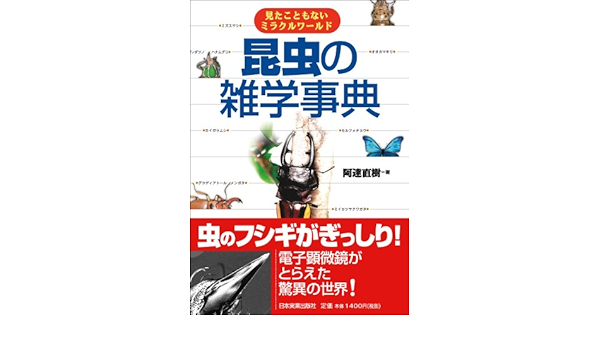 Amazon Com Encyclopedia Of Insect S Trivia Ebook Naoki Adachi Kindle Store Amazon Com Encyclopedia Of Insect S Trivia Ebook Naoki Adachi Kindle Store