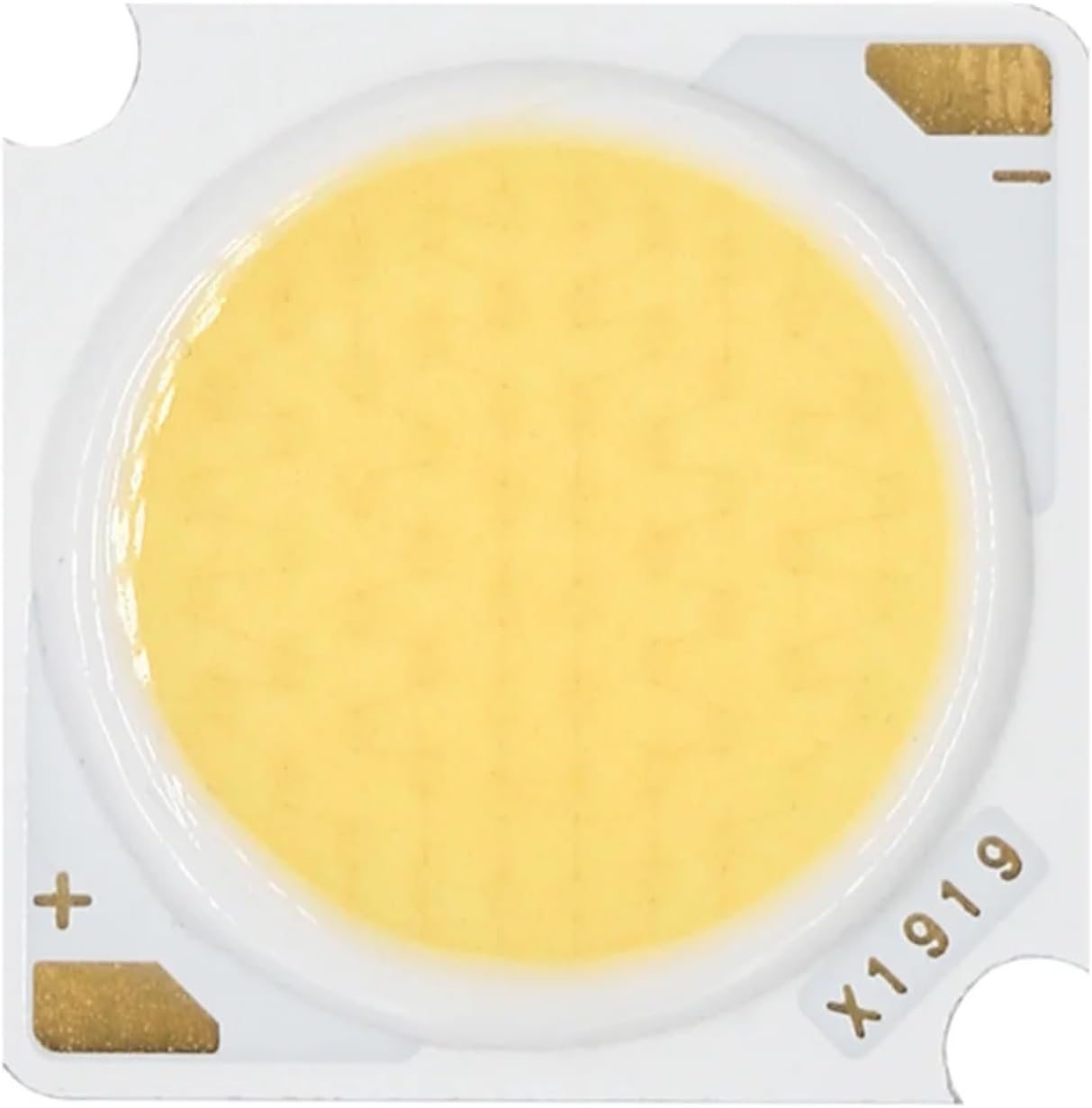 10PCS High Power 50W 10W 20W 30W 40W COB Led Matrix Lamp 1919 DC30-33V Bridgelux LEDs for Flashlight Chips Diode Bulb Cool White(30W,White 5000K)
