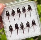 Esche artificiali galleggianti realistiche per pesca ai predatori, con azione naturale di nuoto, in silicone, per spigole e pesce persico, 3,9 cm, colore nero (C)