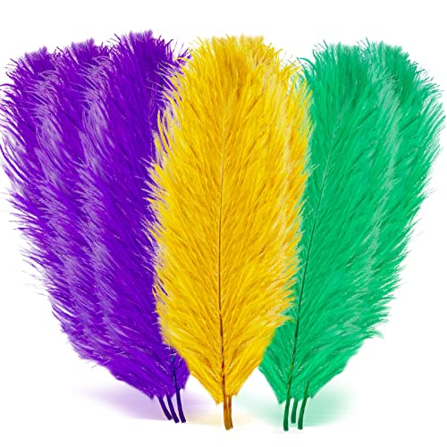 18 Pcs Mardi Gras Feathers for Crafts 10-12 Inches Natural Green Gold Purple Feathers Bulk for DIY Craft Carnival Costume Mardi Gras Party Decorations(Pure Gold Purple Green)