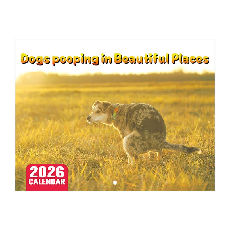 Mainiusi Kackende Hunde Kalender 2026 Lustige Hundekalender 2026 Dogs Pooping in Beautiful Places Pooping Dogs Kalender 2026 Tiere Kackende Hundekalender Calendar 2026(Gelb)
