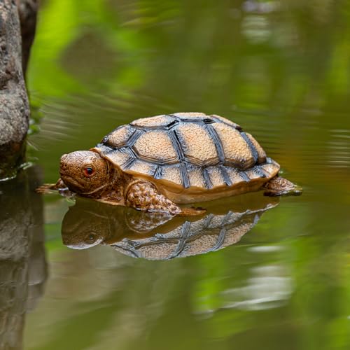 RKGOMDMU Floating Turtle Statue