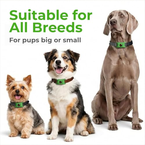 Image of FurLife Green Pet Tag - Calming & Flea and Tick Prevention Pendant for Dogs & Cats | Waterproof Collar Tag | Safe for All Breeds