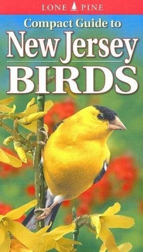 Compact Guide To New Jersey Birds #TOP21