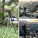 NEEWER Entry Level Version Tripod for Cell Phone & Camera, Metal Lightweight Portable Travel Stand with Cold Shoe Cellphone Holder Mount Compatible with iPhone for Video Recording Filming, TP53