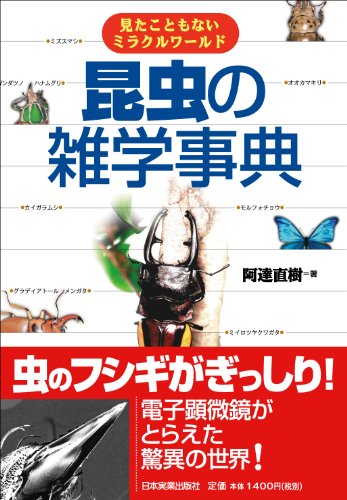 Amazon Com Encyclopedia Of Insect S Trivia Ebook Naoki Adachi Kindle Store Amazon Com Encyclopedia Of Insect S Trivia Ebook Naoki Adachi Kindle Store
