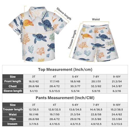 Boccsty Colorful Turtles Sea Animals Boy Summer Shorts Sets Hawaiian Toddler Boys T-Shirt & Pants 2 Pcs 3T3