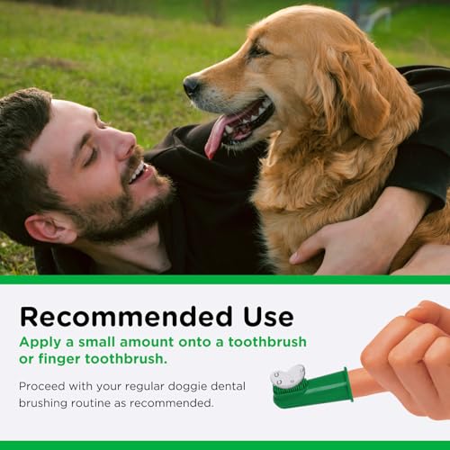 Image of Nutri-Vet Enzymatic Dog Toothpaste, Dog Dental, Chicken Flavor, 2.5oz | Teeth Cleaning for Dogs, Dog Breath Freshener, Plaque Remover, Non Foaming, Made in USA, Oral Care, Tartar Control