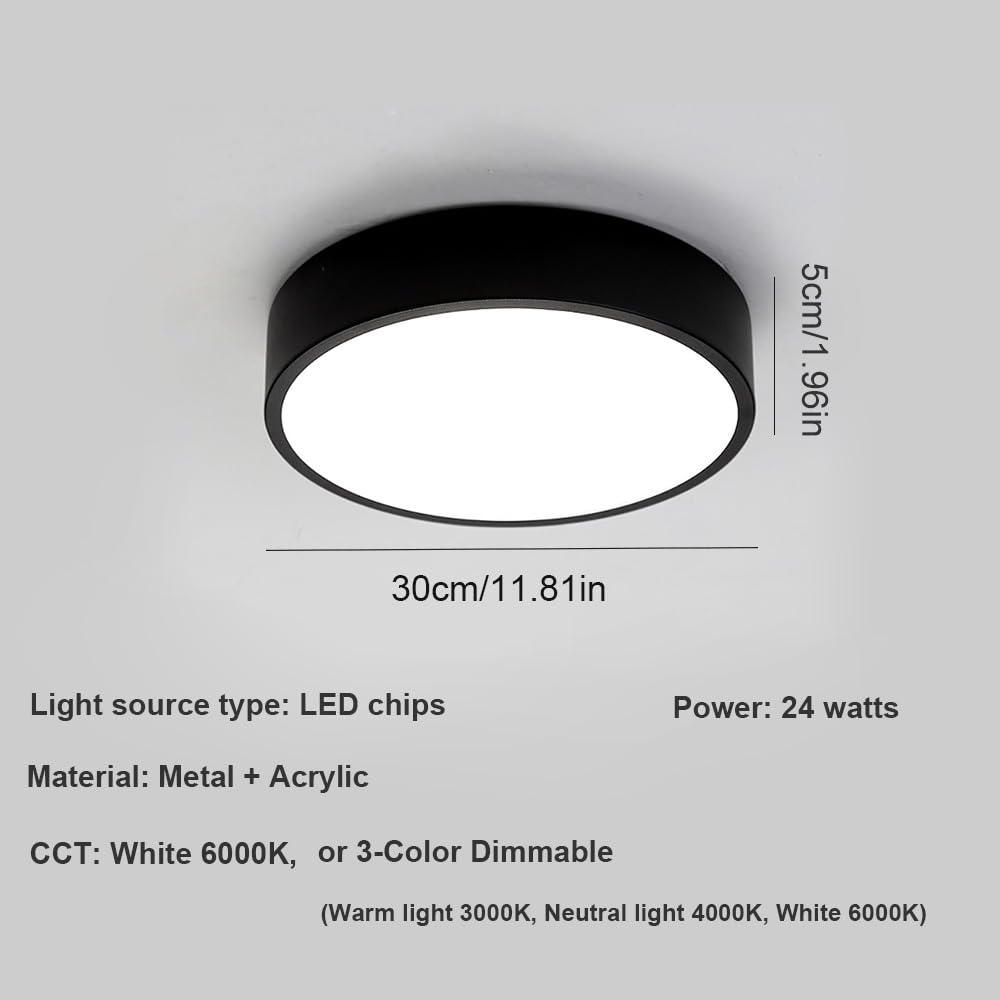 Nowoczesna Okrągła Lampy Sufitowa LED, Mały Plafon Minimalistyczny Ściemnialny Flush Mount Oświetlenie Sufitowe Korytarz Wejście Balkon(White(6000k),30cm/11.81in)