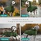 Navaris Regenmantel Regenjacke für Hunde - Regenmantel Hund wasserdicht - Hundemantel Hunderegenmantel Regencape aus PU und Polyester - Dog Raincoat - Grün - L