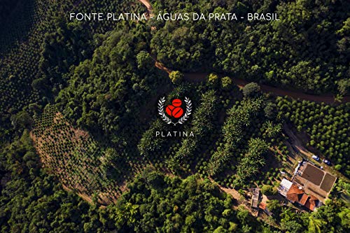 CAFÉ PLATINA em Grãos - O Original de Águas da Prata