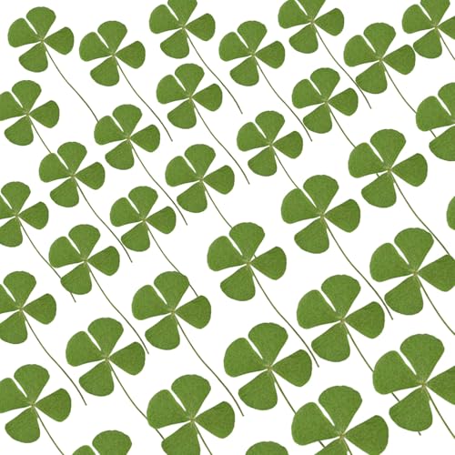 48 Pcs Mix Natural Dried Pressed 4 Leaf Clover for St Patricks Day Cake Decorating Real Dry Flower for Lucky Jewelry Making (Four Leaf Clover)