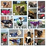 Savlot Hundejacke Winterweste Jacken Hundemantel Hundepullover Haustier Skifahren Kostüm Ärmellose Baumwolle Gepolsterte Weste Mit Brustgurt Gurt - Dunkelblau, XS