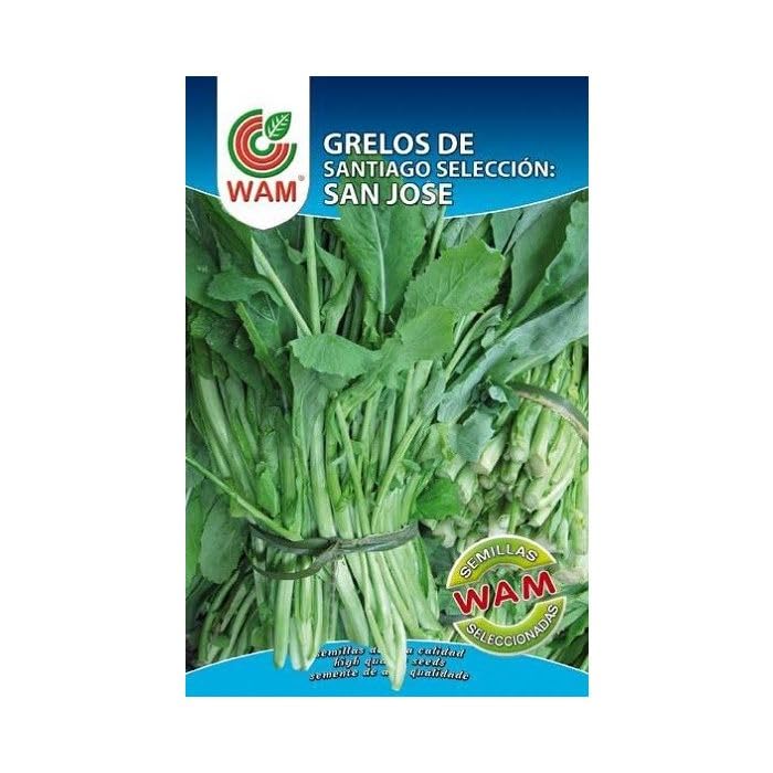 Semillas Horícolas - Grelos de santiago selección SAN JOSE 100g - Wam