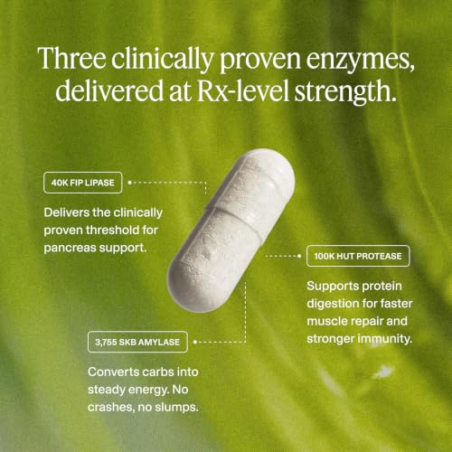 Image of Digestive Enzymes | 40,000 USP Lipase - Prescription Strength Pancreatic Enzyme Replacement Formula for Fat Digestion, Gut Health & Nutrient Absorption - Fermented, Vegan, High Potency