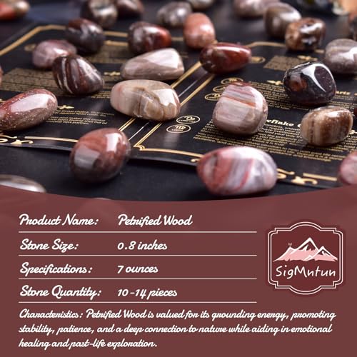 Image of Polished Stone Set Petrified Wood Crystals, 0.8 inch Handpicked Tumbled Gemstones Rocks, Pebbles for Reiki, Chakra, Healing, Home Decor