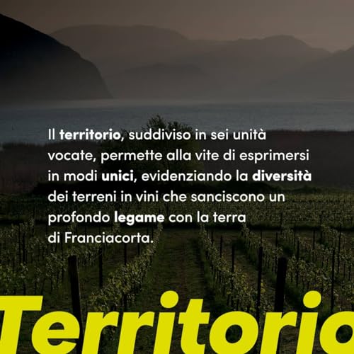 Contadi Castaldi Brut - Franciacorta di Lombardia DOCG Astucciato - Chardonnay, Pinot Nero, Pinot Bianco Trauben, Plant Based - 1 Flasche 1500 ml
