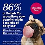 PetLab Co. Itch Relief Chews - Support for Dry, Occasionally Itchy Skin & Coats - Formulated with Turmeric, Omega 3 & 6, Honey - Packaging May Vary - Image 4