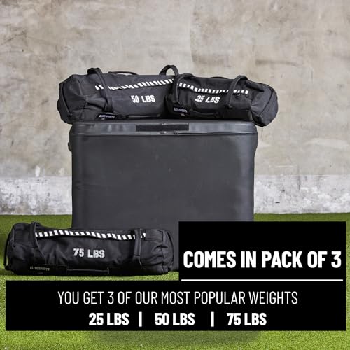 Elite Sports Workout Sandbag for Versatile, Intensive Core Muscles Fitness, Strength Training with Strategic Handle Placement - Image 3