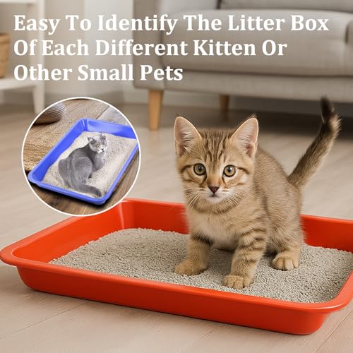 Set 4 cajas arenero pequeñas abiertas para gatos miniatura 6