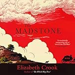 Cover of The Madstone
